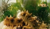 荣成海参