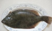蓬莱地生子