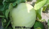 西罗家铁把瓜