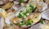 胶州湾蛤蜊