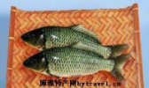 华龙双脊