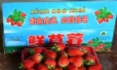 代庄草莓