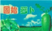 固始萝卜