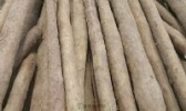 吉利区怀山药