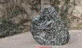 西工牡丹石