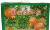 南河渡石榴