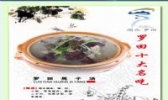 罗田晃子汤