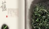 黄梅禅茶