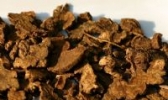 罗田苍术