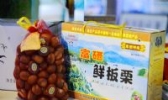 罗田板栗