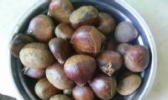 小悟板栗