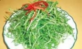 桐柏山山野菜