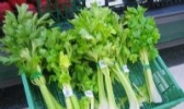 安沟嫩香芹