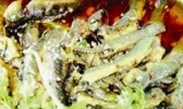 胖胖锅火巴泥鳅