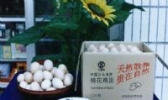 桃花鸡蛋