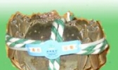 洪湖大闸蟹