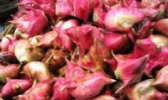 梁子湖红菱