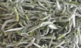 兴山白茶