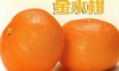 当阳金水柑