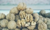 兴山薄壳核桃