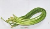 七星台蒜薹
