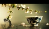 山坡光明茶
