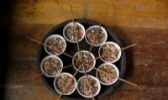 苗侗热油茶