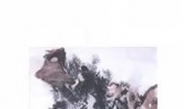 侗族画家张国雄工艺画