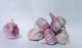 隆回红皮大蒜