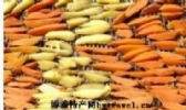 干红薯