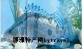 鼎城鳜鱼