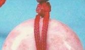 桃花玉