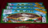 汝城野生松树菇