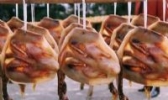 上祝板鸭