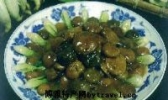 红烧寒菌