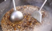 茨露狗