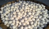 梅菉鱼丸