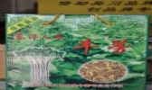 林屋牛蒡