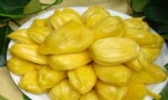 东海岛菠萝蜜