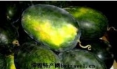 美人瓜