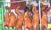 东海炭鹅