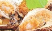 石门鲜蚝
