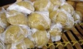 雷州白（米乙）