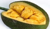 阳东菠萝蜜