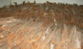 罗定肉桂