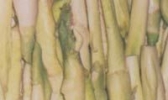 斗洞茨菰