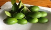 桥头青柠檬