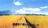 拆石油粘米