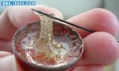 怀集松脂