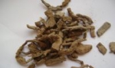高要巴戟天